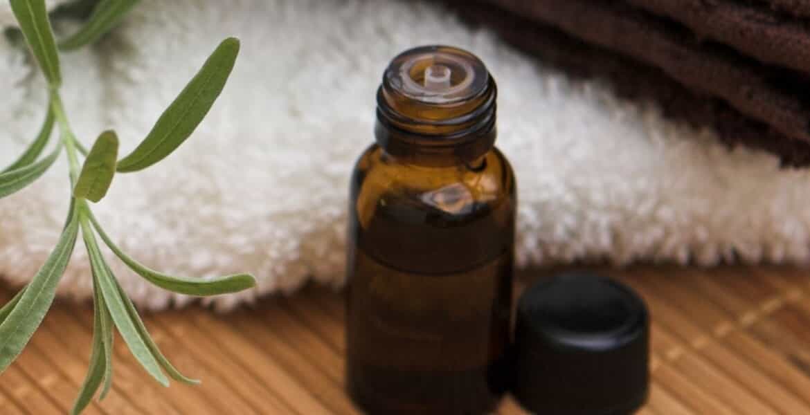 Read more about the article Getting Started with Essential Oils