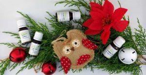 Read more about the article Ways to use Essential Oils at Christmas