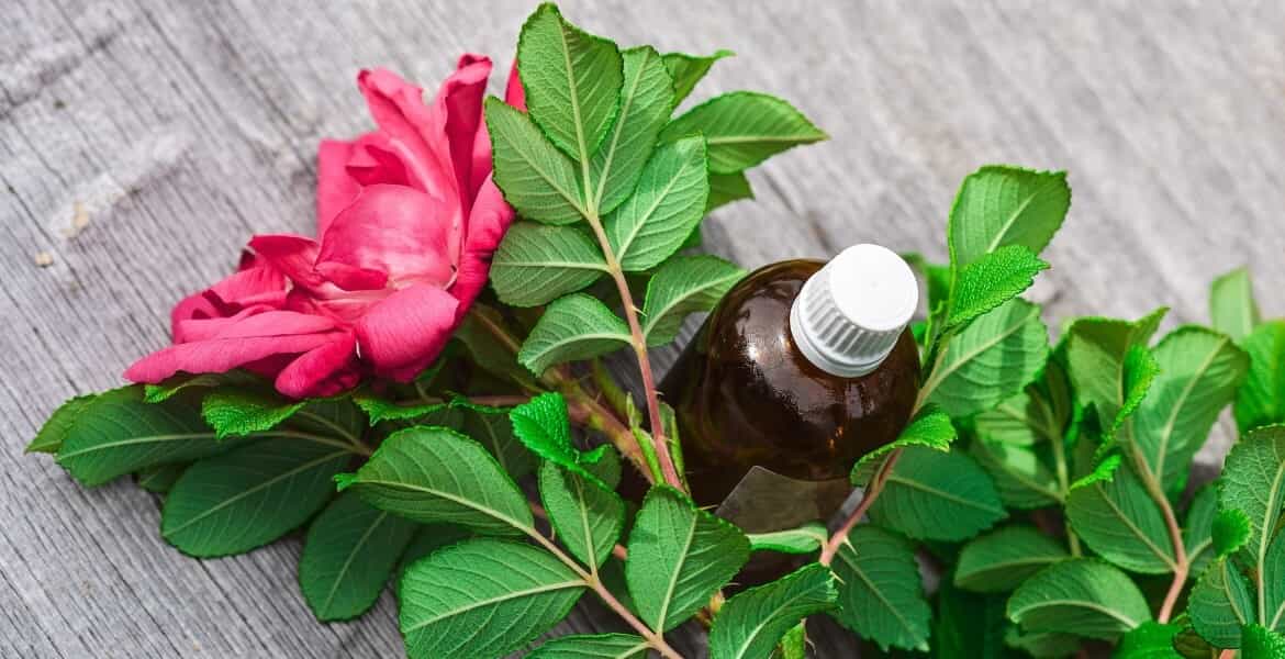 Read more about the article Caring for your Essential Oils