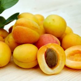Apricot Kernel Oil SPECIAL