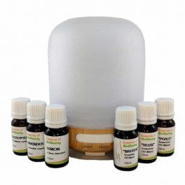 Bamboo & Frosted Glass Diffuser Kit